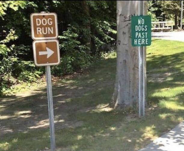 dog-run