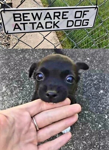 attack dog