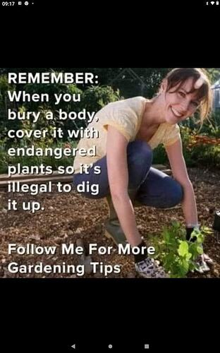 GARDEN TIPS